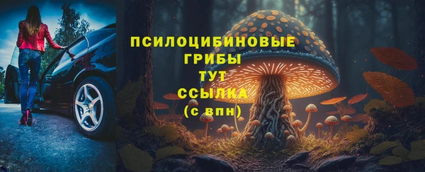 spice Баксан