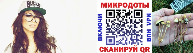 OMG зеркало  Облучье  Псилоцибиновые грибы Magic Shrooms 
